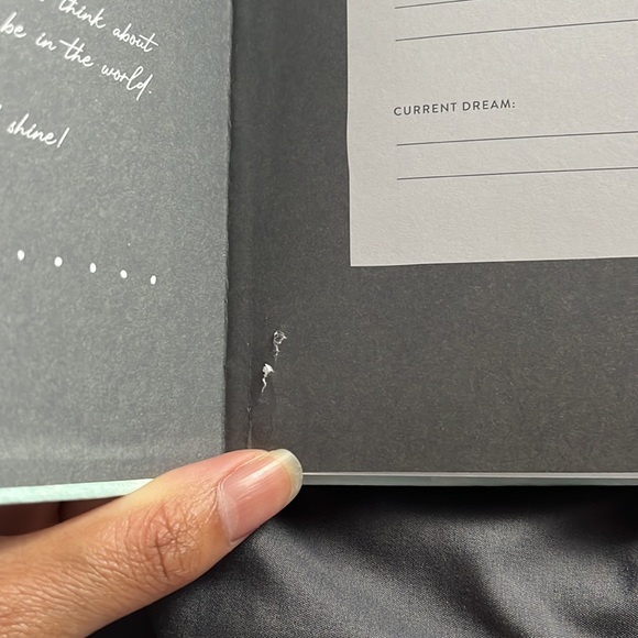 Daily Journal - Picture 3 of 4